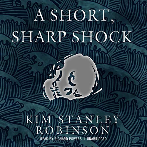 9781433231049: A Short, Sharp Shock