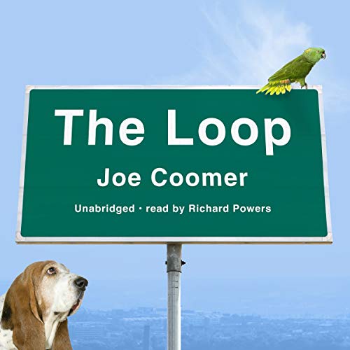 9781433260308: The Loop