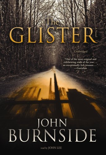 The Glister: A Novel (9781433264085) by Burnside, John