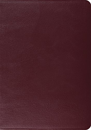 Stock image for ESV Study Bible, English Standard Version for sale by Bookensteins