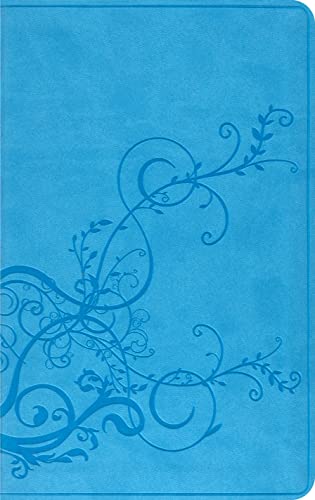 Imagen de archivo de ESV Thinline Bible (TruTone, SkyBlue, Ivy Design) a la venta por Book Lover's Warehouse