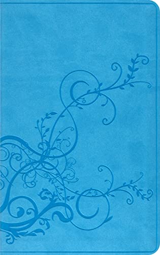 Stock image for ESV Thinline Bible (TruTone, SkyBlue, Ivy Design) for sale by Book Lover's Warehouse