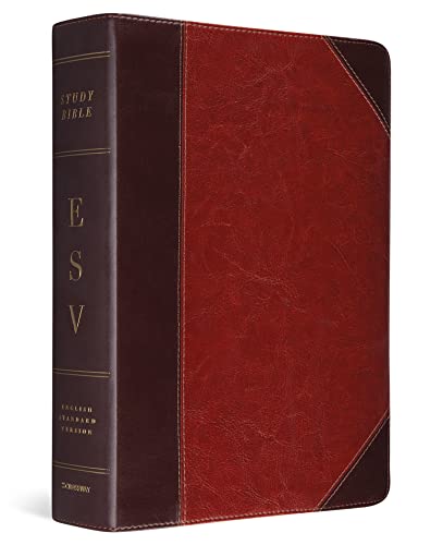 Study Bible-ESV-Portfolio Design - ESV Bibles