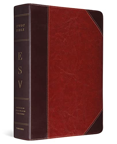9781433503795: ESV Study Bible (TruTone, Brown/Cordovan, Portfolio Design)