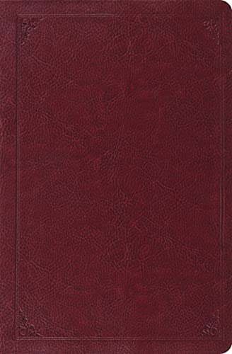 9781433512353: Holy Bible: English Standard Version, Burgundy, TruTone, Frame Design, Verse-by-Verse, Reference