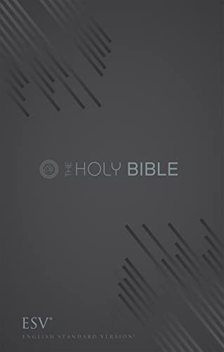 Stock image for Holy Bible for sale by Better World Books