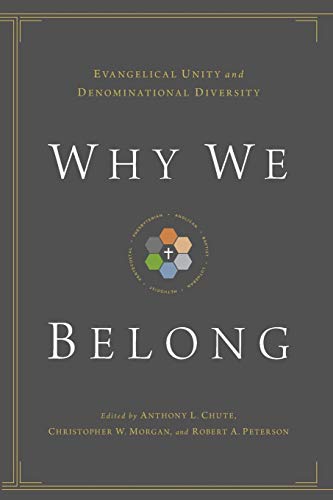 Imagen de archivo de Why We Belong: Evangelical Unity and Denominational Diversity a la venta por BooksRun