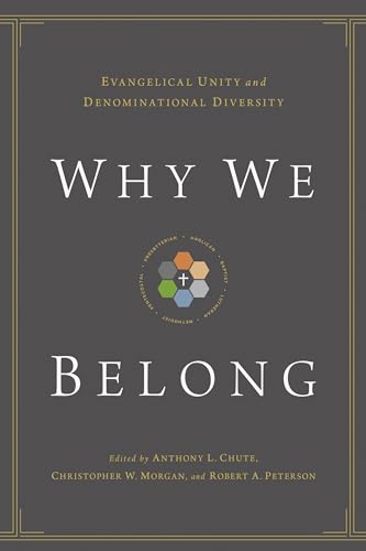 Stock image for Why We Belong: Evangelical Unity and Denominational Diversity for sale by BooksRun