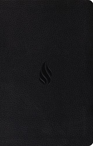 Beispielbild fr Value Thinline Bible-ESV-Flame Design zum Verkauf von ThriftBooks-Dallas