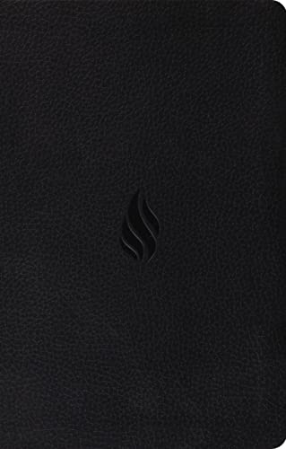 Stock image for Value Thinline Bible-ESV-Flame Design for sale by ThriftBooks-Dallas