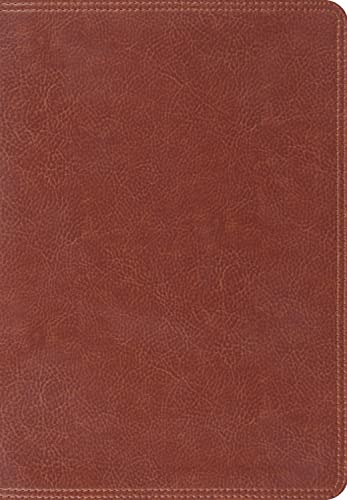 9781433527210: Bib Giant Print: English Standard Version, Trutone, Brown