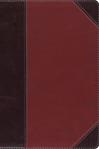 9781433530845: ESV Study Bible, Personal Size (TruTone, brown/cordovan, portfolio design) (Esv Bibles)