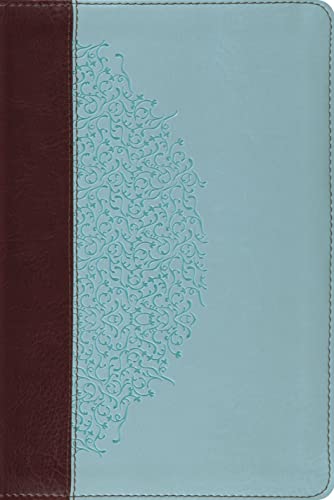 Stock image for ESV Study Bible, Personal Size (TruTone, Chocolate/Blue, Ivy Design) (Esv Bibles) for sale by Byrd Books