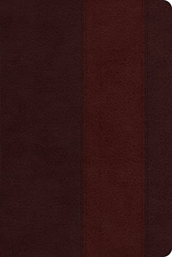 Beispielbild fr Holy Bible: English Standard Version, Brown / Burgundy, TuTone Band Design, Single Column Heritage Bible ESV Bibles by Crossway zum Verkauf von Vintage Book Shoppe