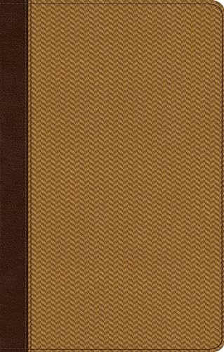 Beispielbild fr The Holy Bible: English Standard Version Brown/Goldenrod Trutone Herringbone Design Ultrathin Bible zum Verkauf von SecondSale