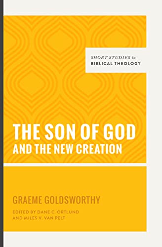 Imagen de archivo de The Son of God and the New Creation a la venta por Your Online Bookstore