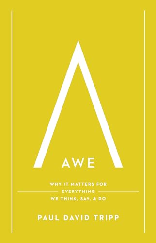 Beispielbild fr Awe : Why It Matters for Everything We Think, Say, and Do zum Verkauf von Better World Books