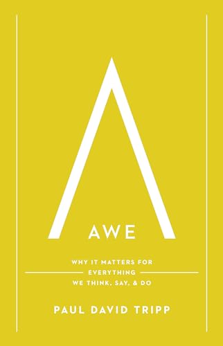 Stock image for Awe: Why It Matters for Everything We Think, Say, and Do for sale by Goodwill of Colorado
