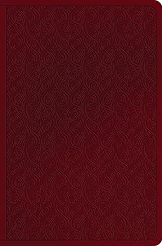 Stock image for ESV Value Compact Bible (Trutone, Ruby, Vine Design) for sale by ThriftBooks-Atlanta