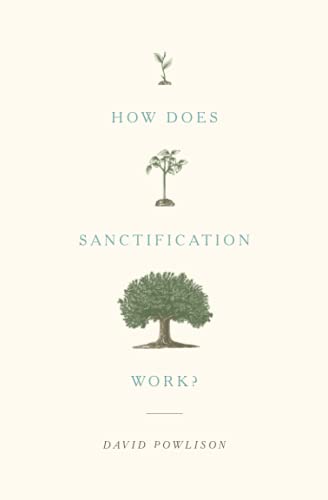 Imagen de archivo de How Does Sanctification Work? a la venta por SecondSale