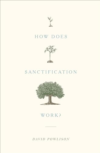 Stock image for How Does Sanctification Work? for sale by -OnTimeBooks-