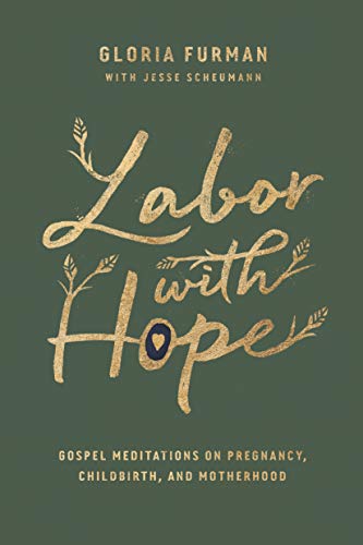 Imagen de archivo de Labor with Hope: Gospel Meditations on Pregnancy, Childbirth, and Motherhood a la venta por Goodwill of Colorado