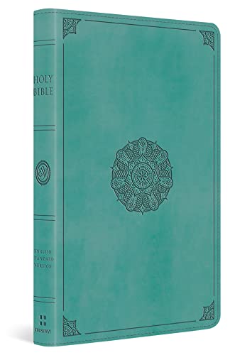 9781433564635: ESV Single Column Thinline Bible