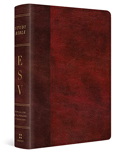 Stock image for ESV Study Bible, Personal Size (TruTone, Burgundy/Red, Timeless Design) for sale by Sunshine State Books