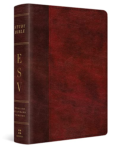 9781433564697: ESV Study Bible, Personal Size (TruTone, Burgundy/Red, Timeless Design)