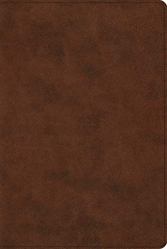 9781433565564: Holy Bible: English Standard Version, Reader's Bible, Brown, Trutone, Brown