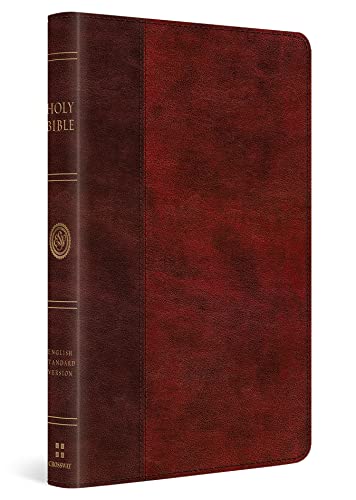 Stock image for ESV Large Print Thinline Bible (TruTone, Burgundy/Red, Timeless Design) for sale by Lakeside Books