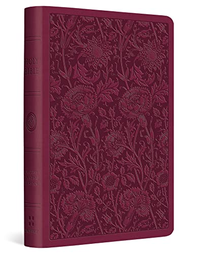 9781433568701: Holy Bible: English Standard Version Value Bible Trutone, Raspberry, Floral Design