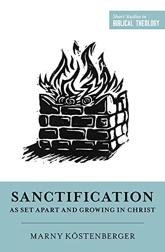 Imagen de archivo de Sanctification as Set Apart and Growing in Christ (Short Studies in Biblical Theology) a la venta por BooksRun