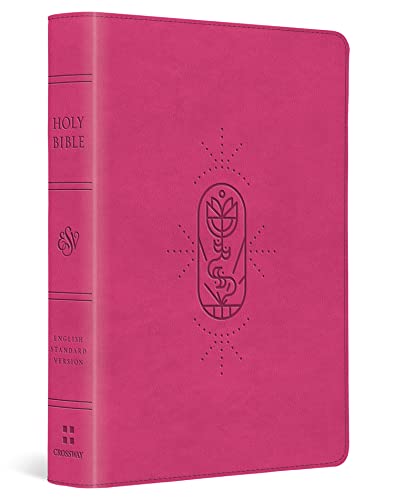 Beispielbild fr ESV Kids Bible, Compact (TruTone, Berry, The True Vine Design) zum Verkauf von Red's Corner LLC