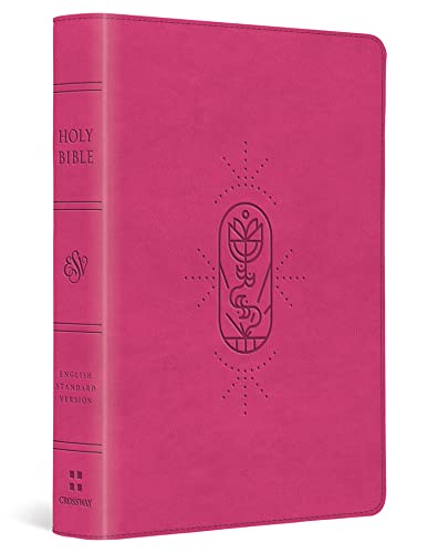 Stock image for ESV Kids Bible, Compact (TruTone, Berry, The True Vine Design) for sale by Red's Corner LLC