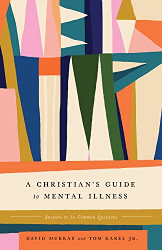 Stock image for A Christian's Guide to Mental Illness: Answers to 30 Common Questions for sale by HPB Inc.
