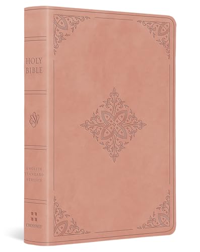 9781433595653: ESV Value Large Print Compact Bible
