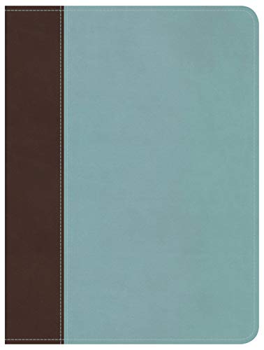 9781433602214: Life Essentials Study Bible, Brown/Blue LeatherTouch Indexed: Biblical Principles to Live By