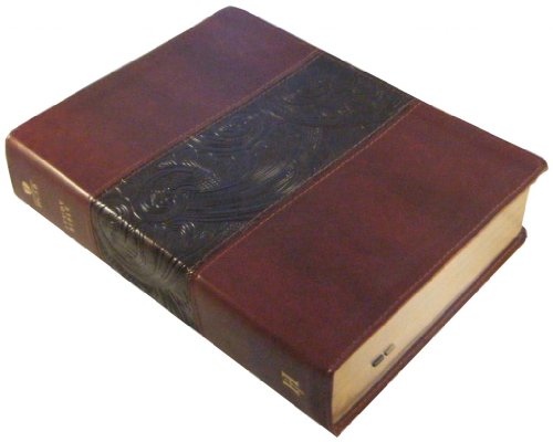 9781433602382: HCSB Study Bible: Holman Christian Standard Bible, Mahogany, Duotone Stimulated Leather