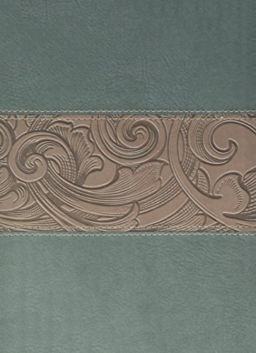 9781433603334: Holy Bible: Holman Christian Standard Study Bible, Teal/Taupe LeatherTouch