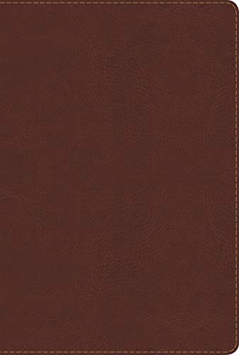 Beispielbild fr RVR 1960 Biblia de Estudio Arco Iris, chocolate smil piel (Spanish Edition) zum Verkauf von GF Books, Inc.