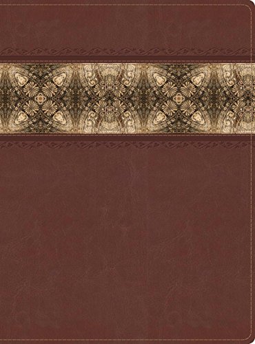 Imagen de archivo de The Apologetics Study Bible, Cinnamon/Brocade LeatherTouch a la venta por Wonder Book