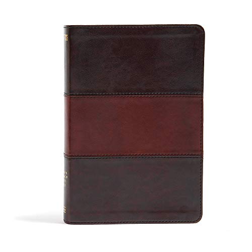 9781433616563: NIV Rainbow Study Bible, Saddle Brown LeatherTouch Indexed: New International Version, Saddle Brown, LeatherTouch, Indexed