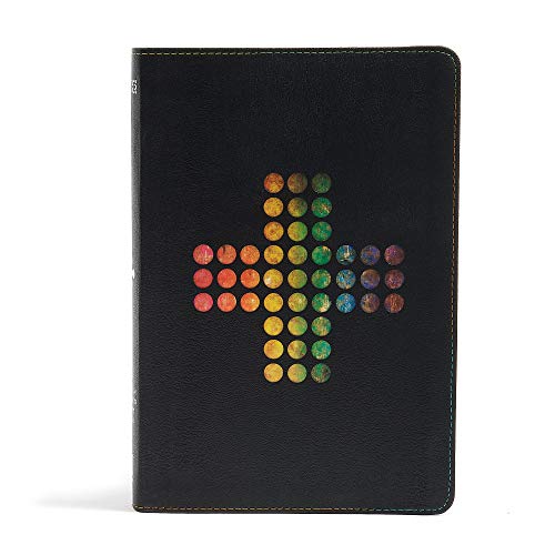 9781433619304: Holy Bible: New International Version, Rainbow Study Bible, Pierced Cross Leathertouch