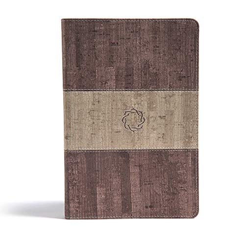 Stock image for CSB Essential Teen Study Bible, Weathered Gray Cork LeatherTouch for sale by 3rd St. Books