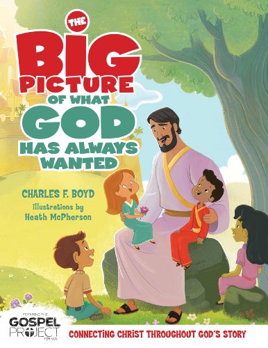 Imagen de archivo de The Big Picture of What God Always Wanted a la venta por ThriftBooks-Atlanta