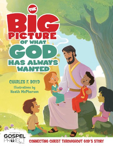 Stock image for The Big Picture of What God Always Wanted for sale by Better World Books
