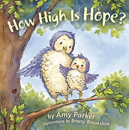 Stock image for How High Is Hope? (padded board book) (Faith, Hope, Love) for sale by SecondSale