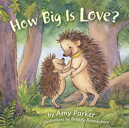 Stock image for How Big Is Love? (padded board book) (Faith, Hope, Love) for sale by SecondSale