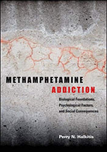 Beispielbild fr Methamphetamine Addiction : Biological Foundations, Psychological Factors, and Social Consequences zum Verkauf von Better World Books